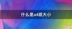 什么是a4纸大小