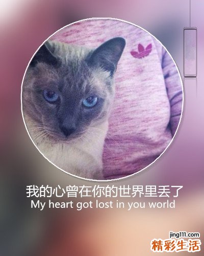 小儿伤风感冒有何症状