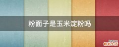 粉面子是玉米淀粉吗