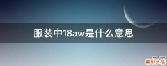 服装中18aw是什么意思