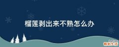 榴莲剥出来不熟怎么办