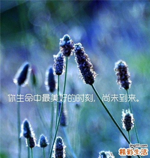 不可不知的孕育隐患