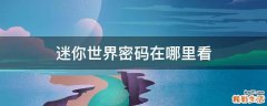 迷你世界密码在哪里看