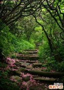 颈椎黄韧带所致病变