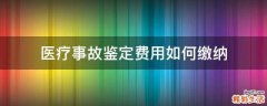 医疗事故鉴定费用如何缴纳