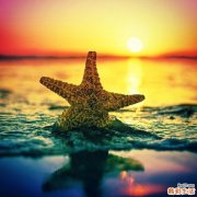 秋季吃什么东西润燥