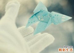 2 手撕包菜的家常做法