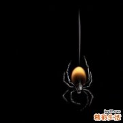 楓糖尿癥治得好嗎