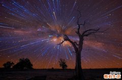 冬季改善肤色的花茶