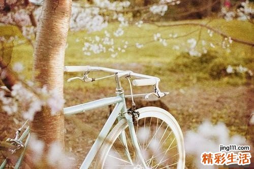 怕冷的女人冬季适合吃什么