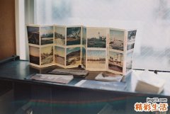 冬季预防感冒吃什么