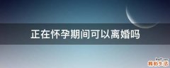 正在怀孕期间可以离婚吗