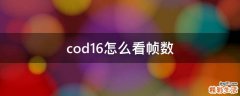 cod16怎么看帧数