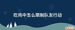 吃鸡中怎么限制队友行动