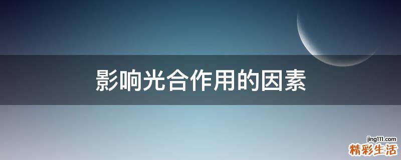 影响光合作用的因素