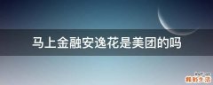 马上金融安逸花是美团的吗