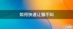 如何快速让猫不叫