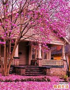 冬至祭祖习俗的注意事项