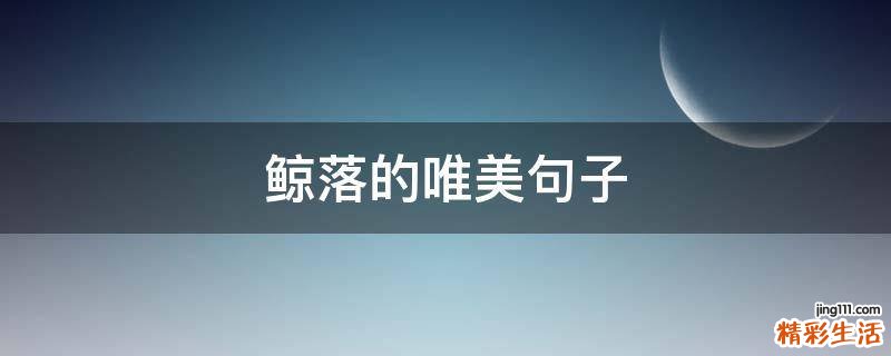 鲸落的唯美句子