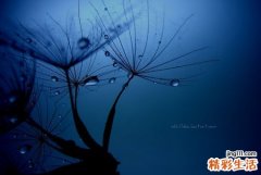 脊髓血管畸形是怎么回事？