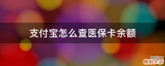 支付宝怎么查医保卡余额