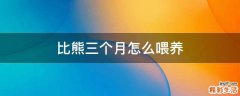 比熊三个月怎么喂养