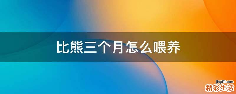 比熊三个月怎么喂养