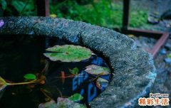 三类药不能热水送服