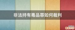 非法持有毒品罪如何裁判