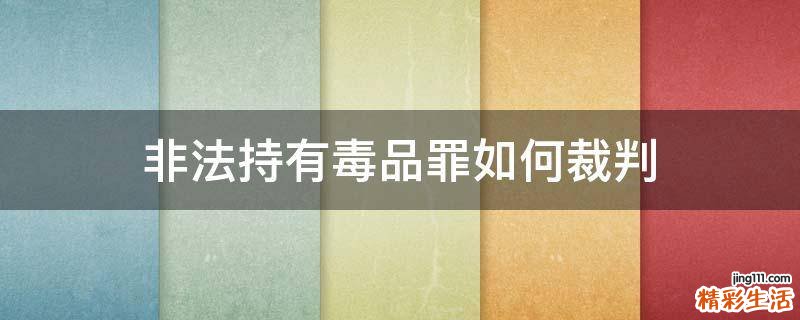 非法持有毒品罪如何裁判