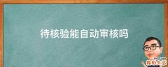 待核验能自动审核吗