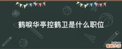 鹤唳华亭控鹤卫是什么职位