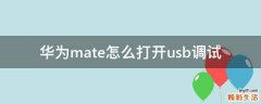 华为mate怎么打开usb调试