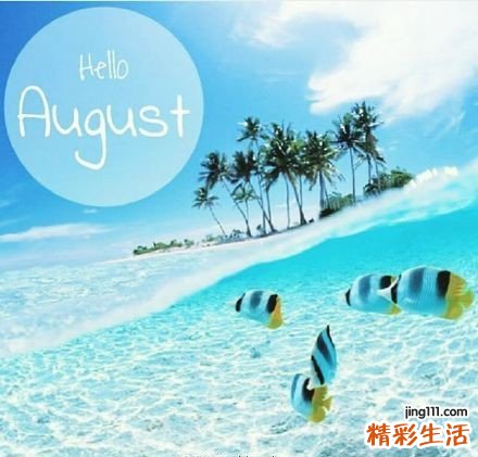 肝硬化 每年检查四次