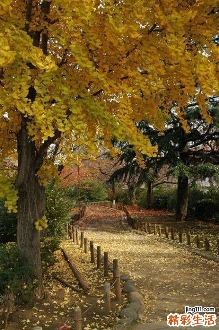 孕妇天天吃西瓜好吗