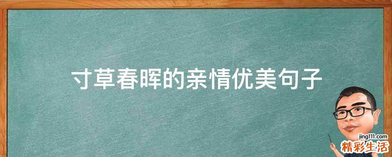 寸草春晖的亲情优美句子