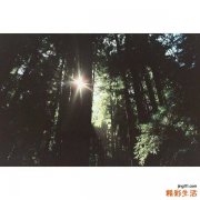 乳酸性酸中毒的危害