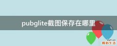 pubglite截图保存在哪里