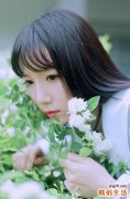 菜子七
