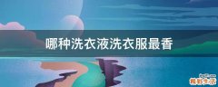 哪种洗衣液洗衣服最香