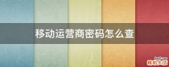 移动运营商密码怎么查