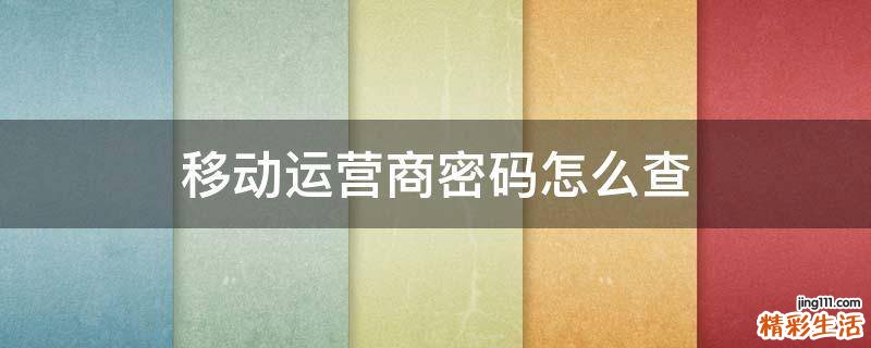 移动运营商密码怎么查