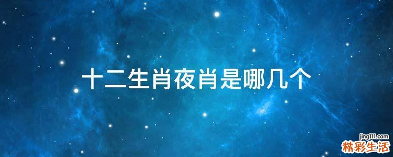 十二生肖夜肖是哪几个