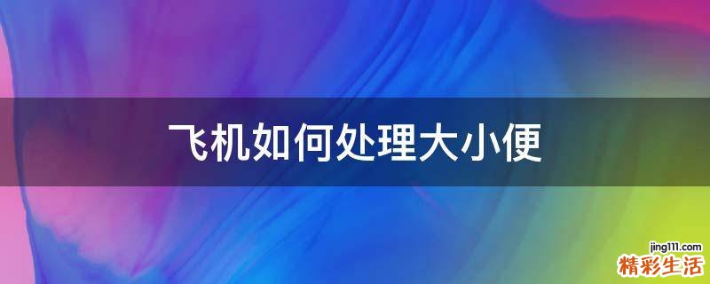 飞机如何处理大小便