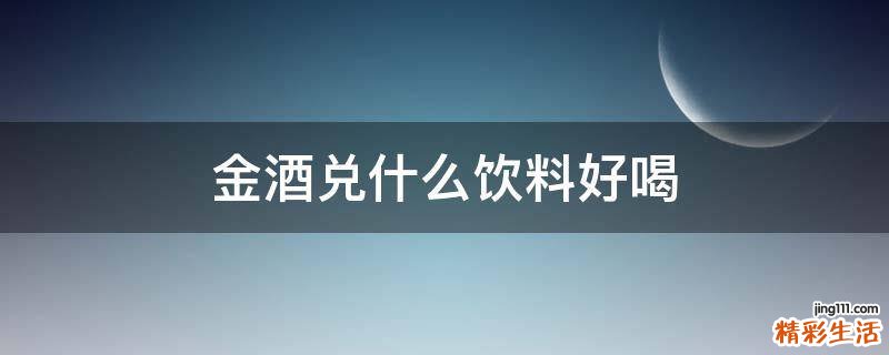 金酒兑什么饮料好喝