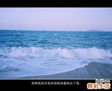 3 麻婆豆腐的家常做法
