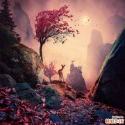 治疗痛经的药有哪些