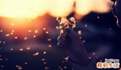 林檎的功效与作用