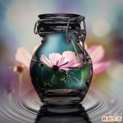 春花木