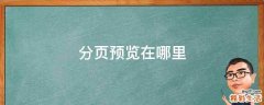 分页预览在哪里